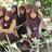 activity oleh wafiyah hamsah