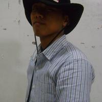 Muhammad Hidayat