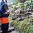 activity oleh dwi lestari