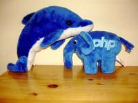 php dan mysql