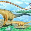 Tebak Dinosaurus / Skor 58