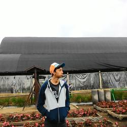 taufik sofyan