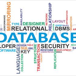 Database MySQL Dasar
