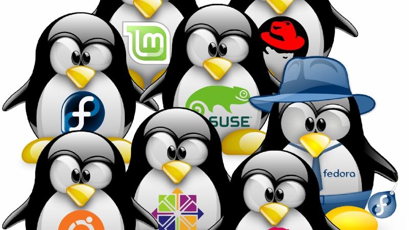Logo Distro Linux cover