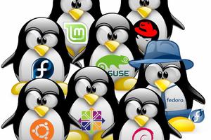 Logo Distro Linux