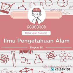 postest bagian tubuh manusia, tumbuhan dan hewan