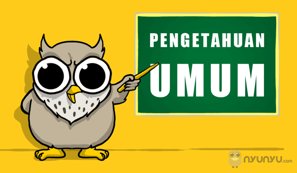 pengetahuan umum