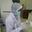 yumna954