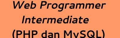 Web Programmer Intermediate