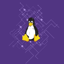 Linux System Administration and Networking 2