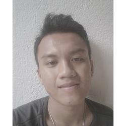 asmidianto