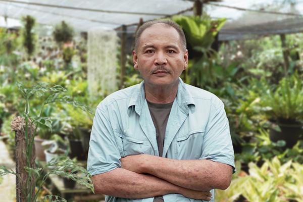 Thumbnail Kelas Belajar Bisnis Tanaman Hias Aroid Beromzet Jutaan Hingga Miliaran